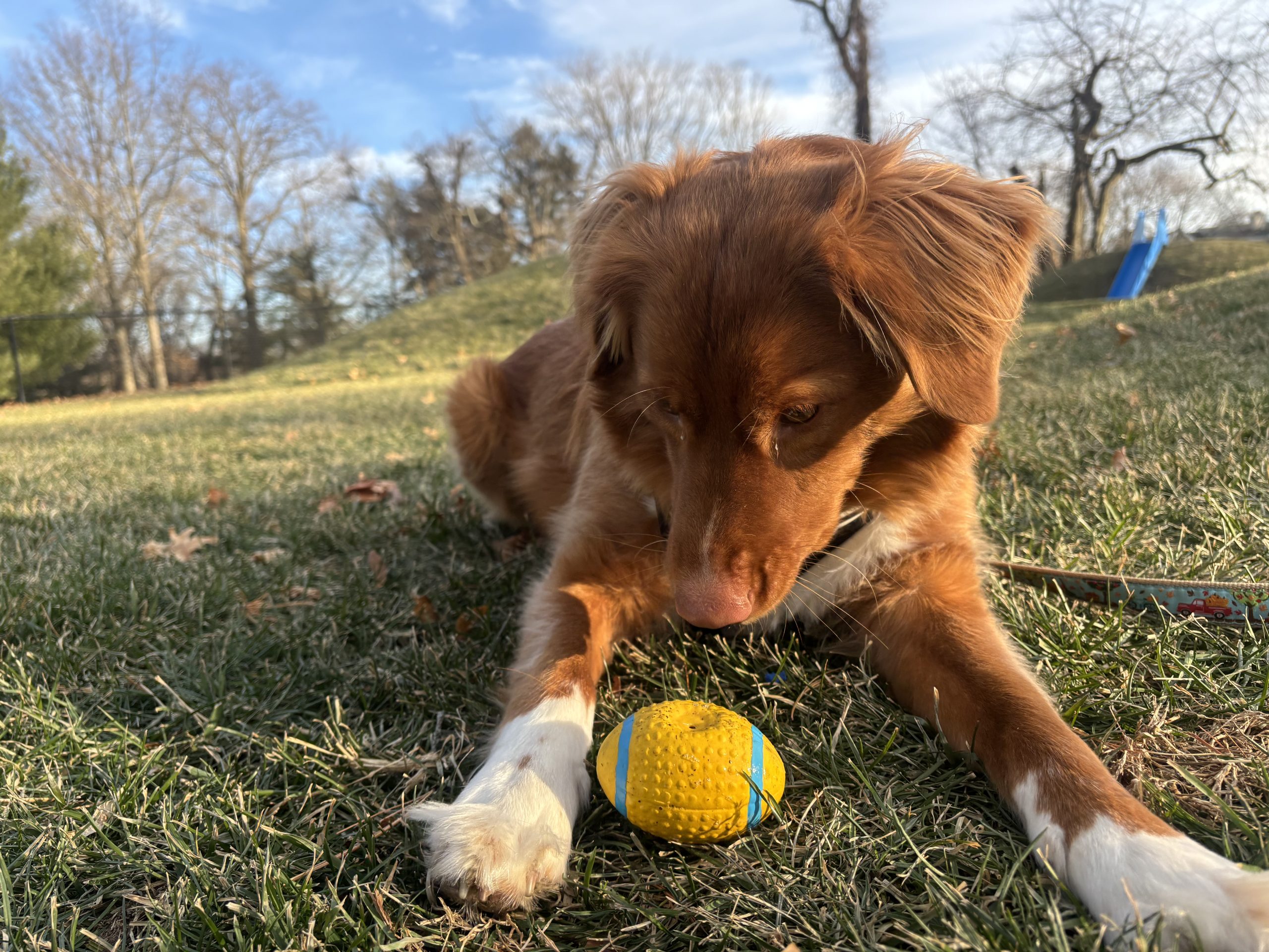 Ali with a happy pup